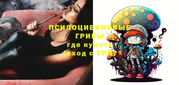 метадон Алексин