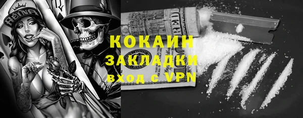 крисы Алзамай